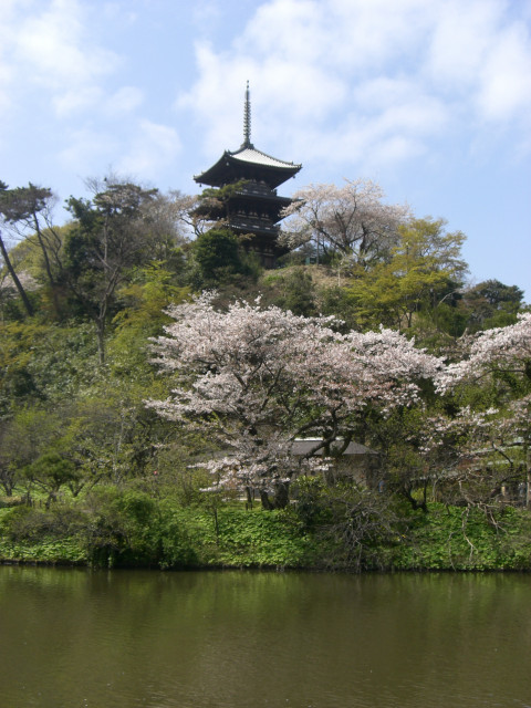 横浜三溪園（縦）